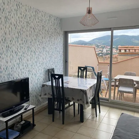 Climatise A Banyuls-sur-mer, Terrasse, Wifi, Proche - Fr-1-309-323