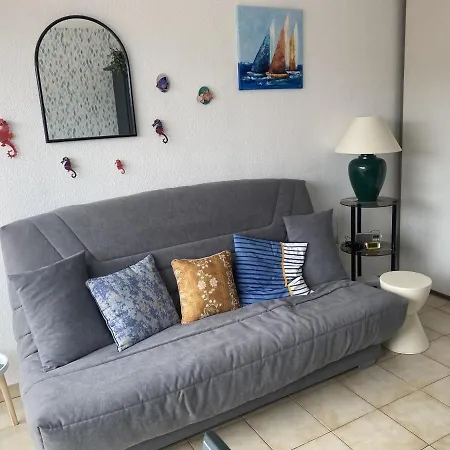 Climatise A Banyuls-sur-mer, Terrasse, Wifi, Proche - Fr-1-309-323