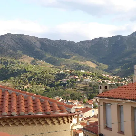 Climatise A Banyuls-sur-mer, Terrasse, Wifi, Proche - Fr-1-309-323 *
