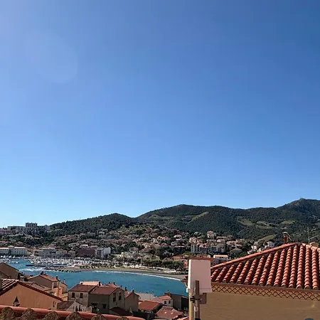 Banyuls-sur-mer, Avec Terrasse, Proche - Fr-1-309-323