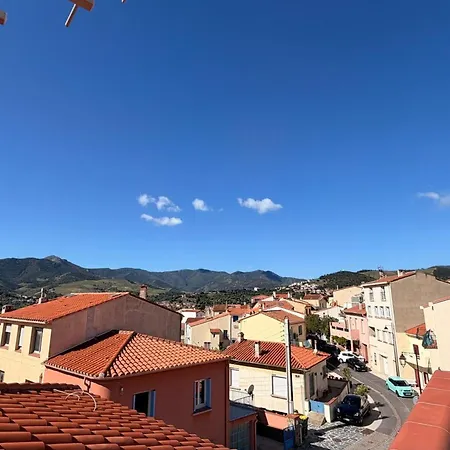 Banyuls-sur-mer, Avec Terrasse, Proche - Fr-1-309-323