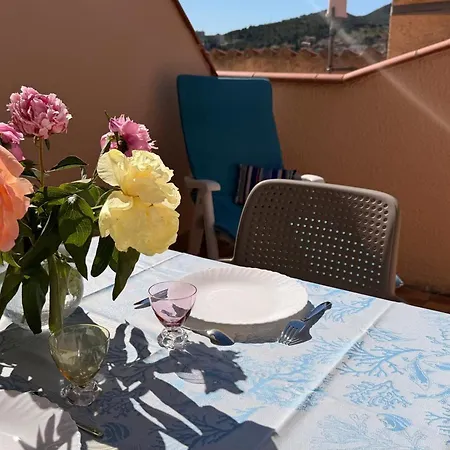 Banyuls-sur-mer, Avec Terrasse, Proche - Fr-1-309-323 Banyuls-sur-Mer