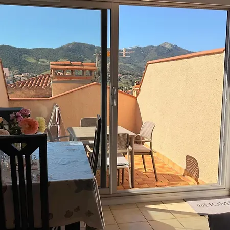 Banyuls-sur-mer, Avec Terrasse, Proche - Fr-1-309-323 Apartment