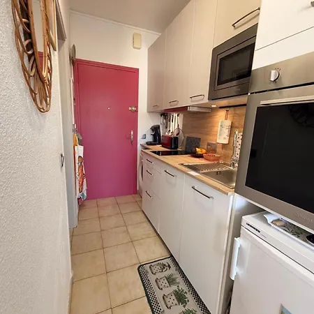 Banyuls-sur-mer, Avec Terrasse, Proche - Fr-1-309-323 Apartment *