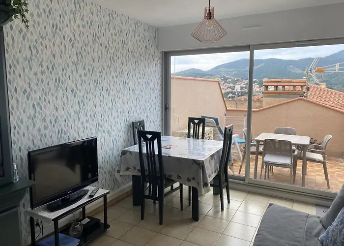 Banyuls-sur-mer, Avec Terrasse, Proche - Fr-1-309-323