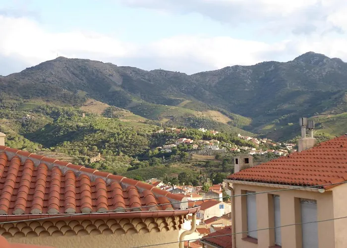 Banyuls-sur-mer, Avec Terrasse, Proche - Fr-1-309-323 *